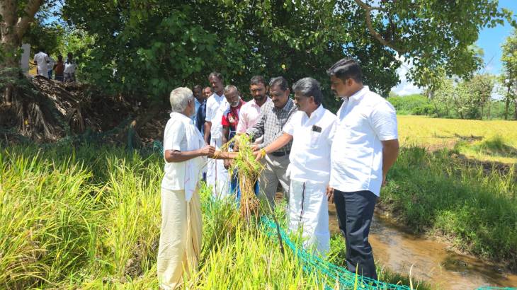 மழையால் பாதிக்கப்பட்ட நெற்பயிர் நிலங்கள் – நேரில் ஆய்வு செய்த ஒட்டப்பிடாரம் எம்.எல்.ஏ சண்முகையா!!
